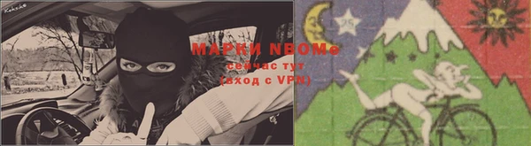 бошки Алексин