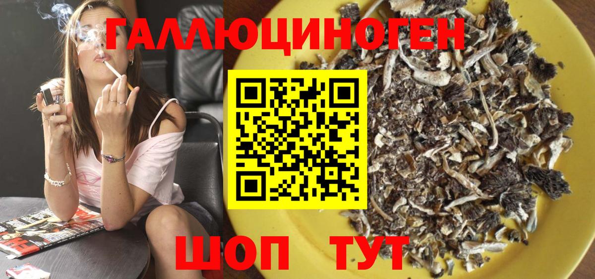 Благовещенск  Псилоцибиновые грибы MAGIC MUSHROOMS  Вход с VPN 